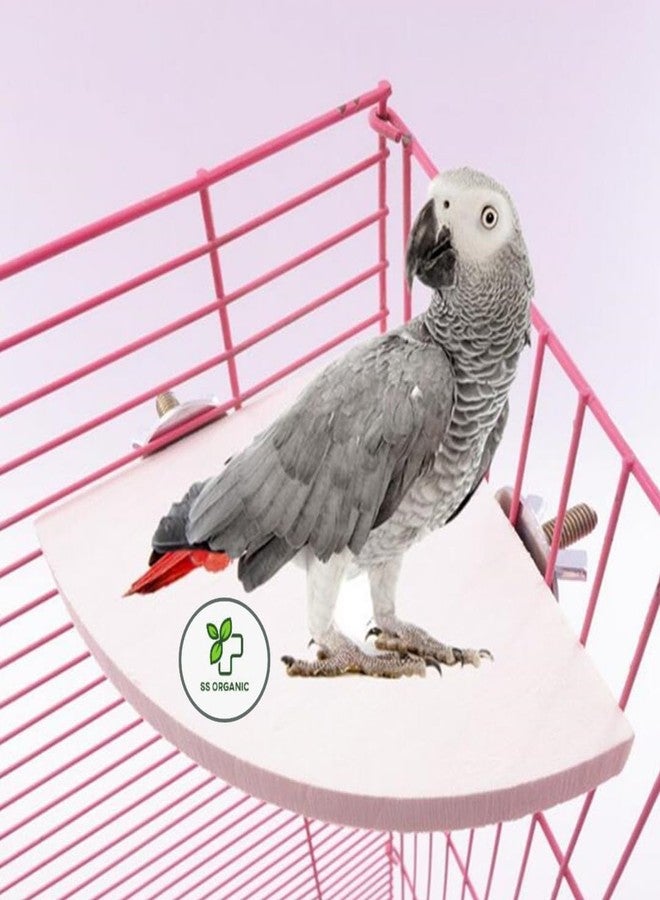 حامل خشبي طبيعي من SS Organic®، على شكل مروحة، مخصص للطيور، مناسب للببغاء، الكوكاتيل، الببغاء الرمادي الأفريقي، والهامستر، والحيوانات الصغيرة. - Image 4